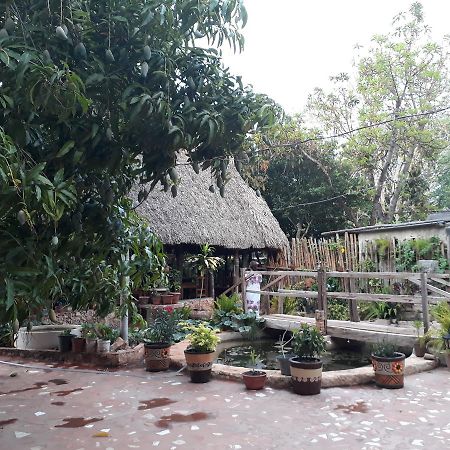 El Chac Mool Bed & Breakfast Santa Elena Екстериор снимка