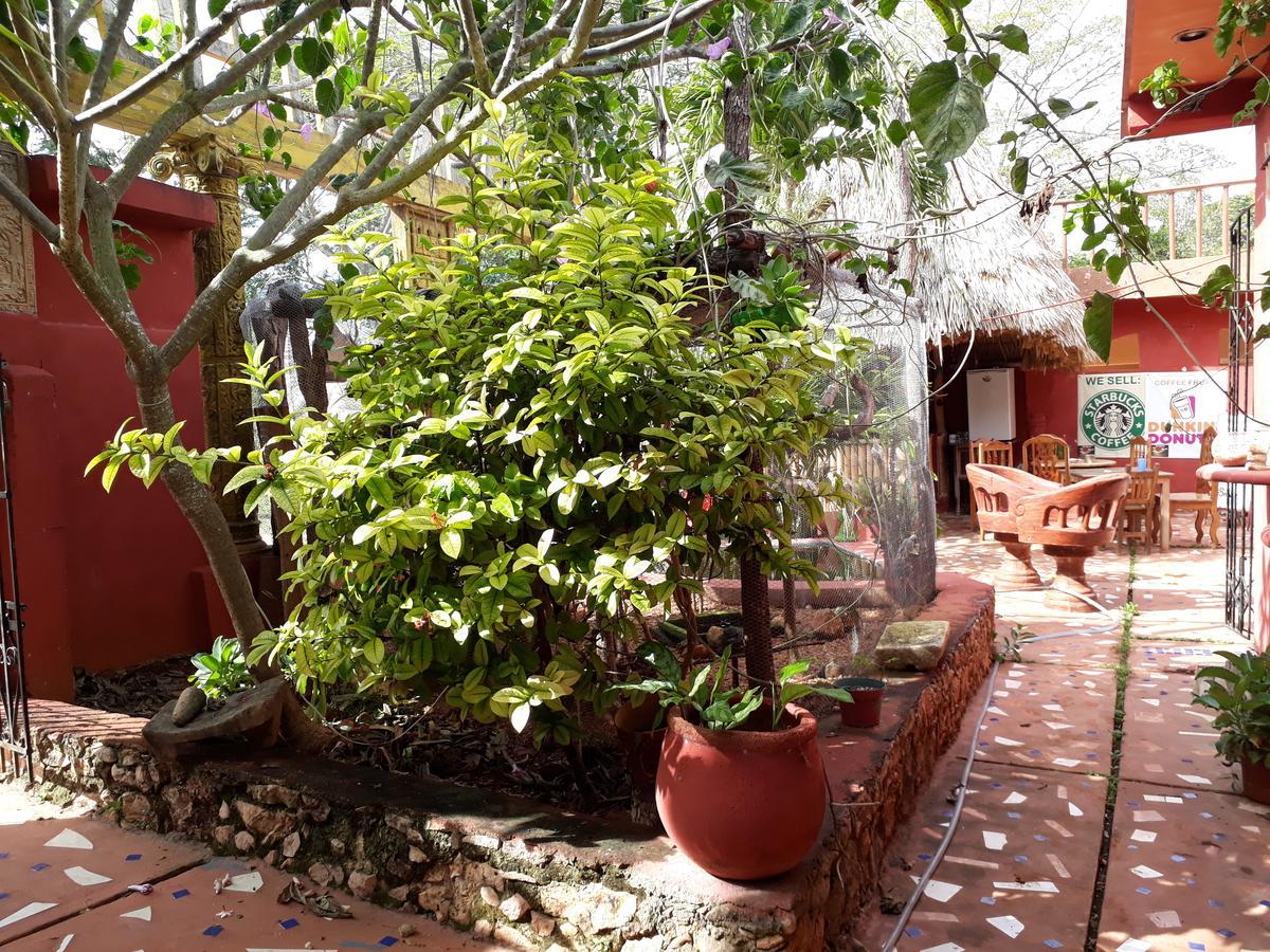 El Chac Mool Bed & Breakfast Santa Elena Екстериор снимка