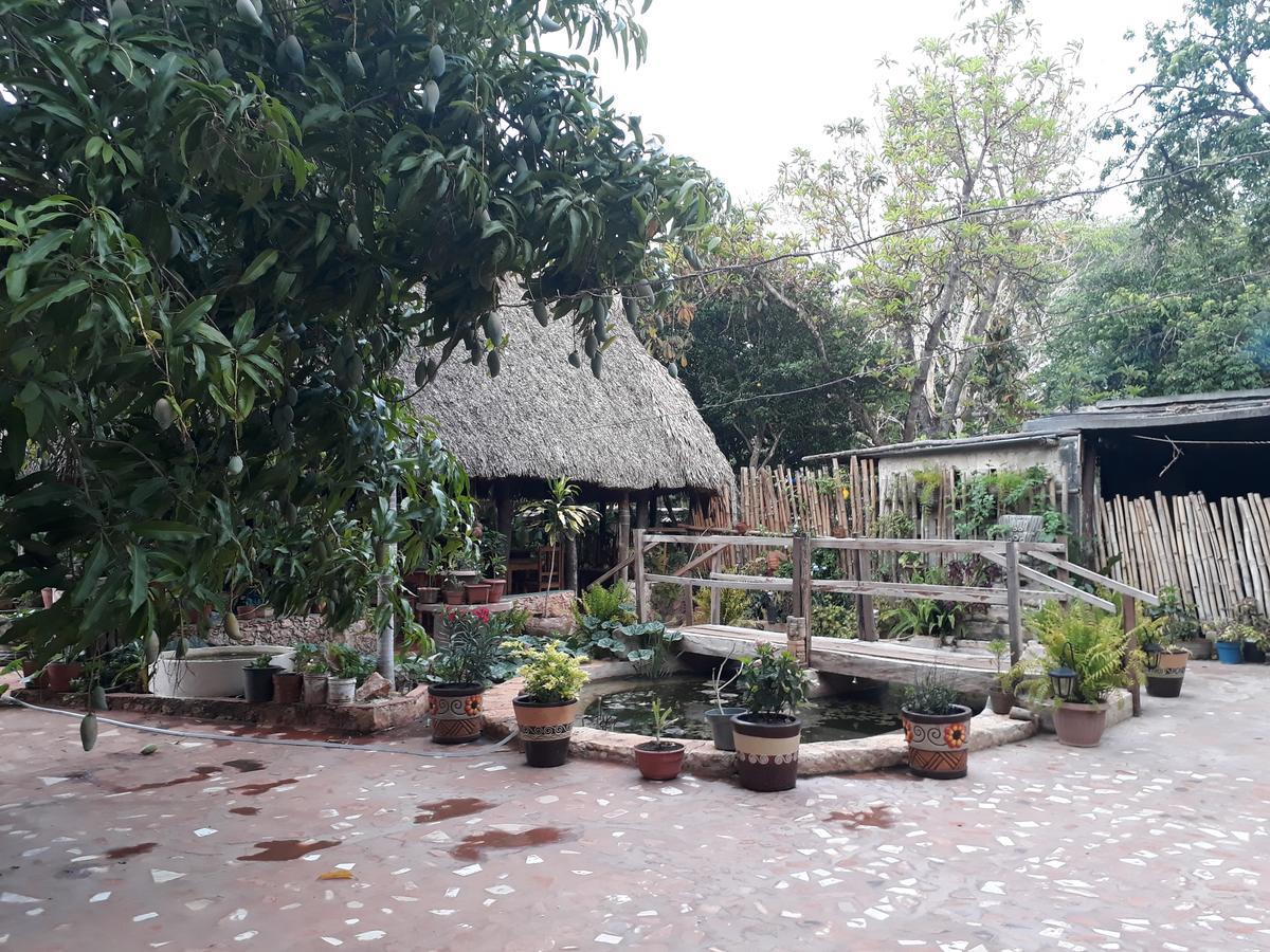 El Chac Mool Bed & Breakfast Santa Elena Екстериор снимка
